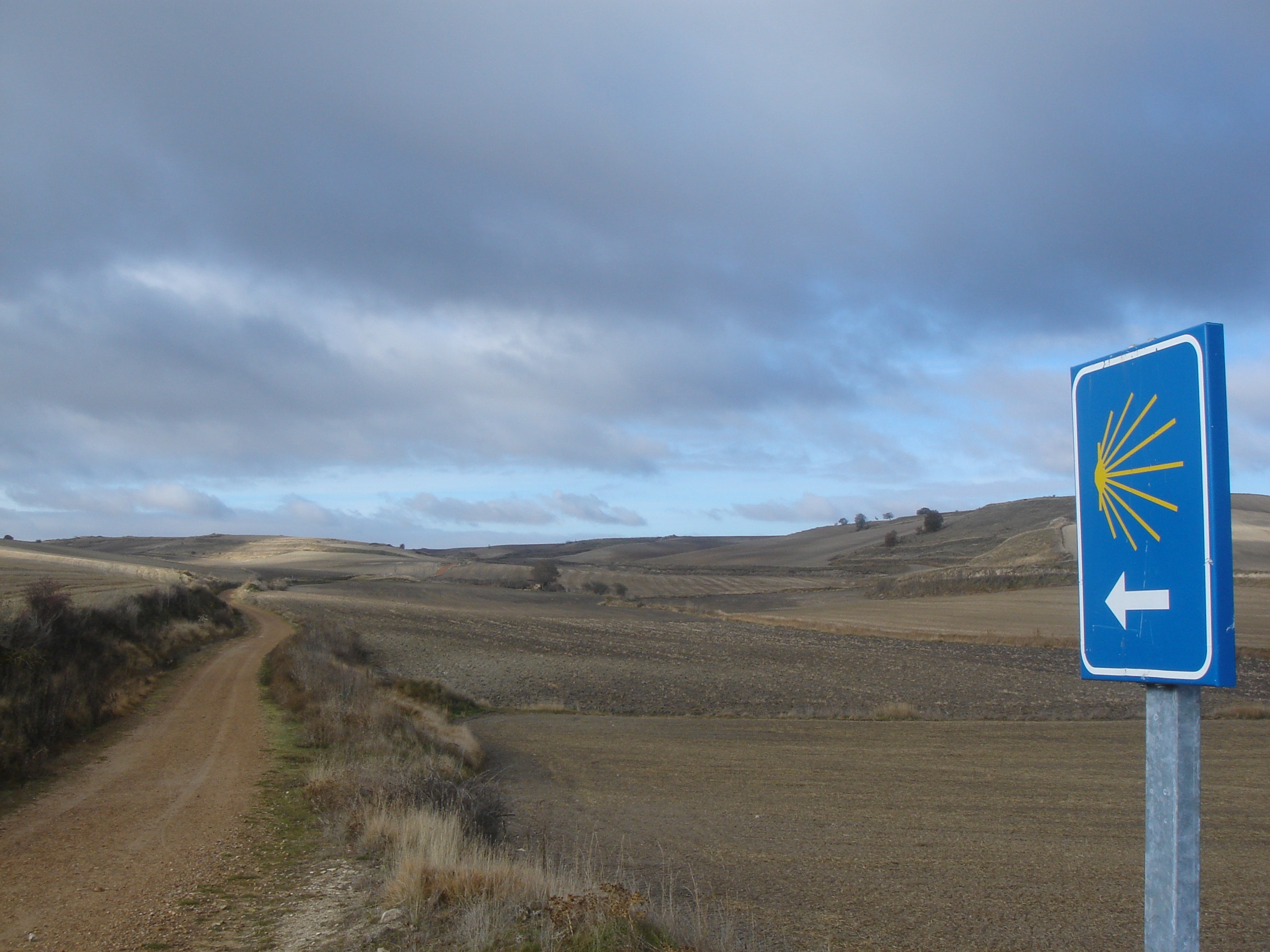 Landscape with a sign of the Way of Saint-James
